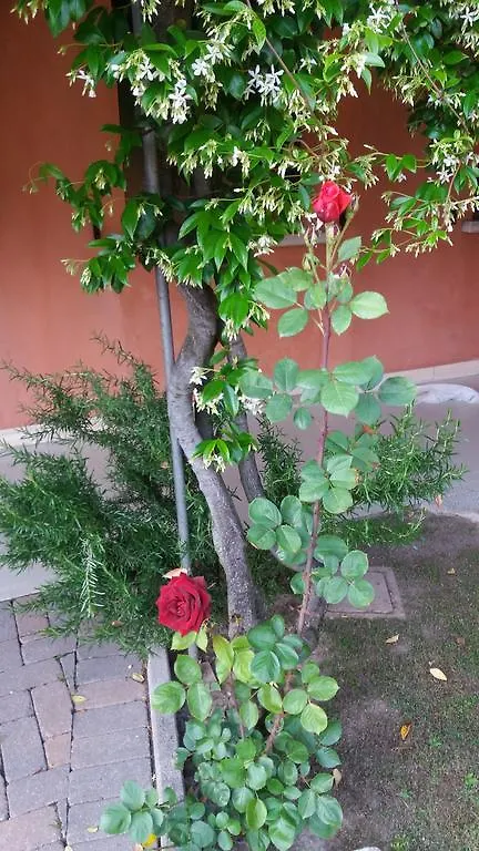 Affittacamere Dreon B&B Portogruaro Italia